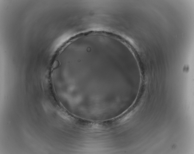 X0000092011263200709061525