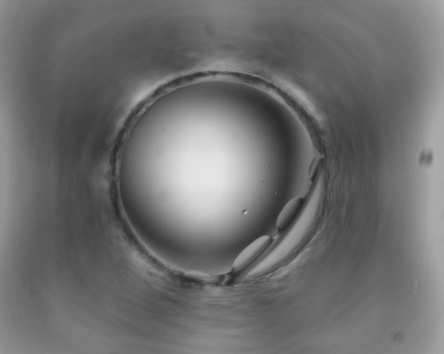 X0000092011264200709061525