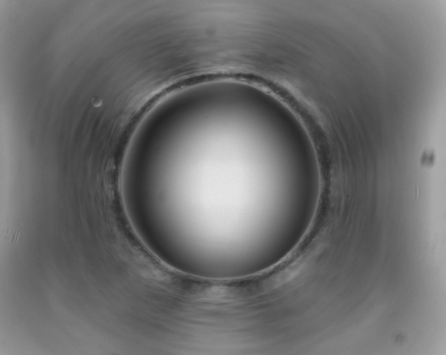 X0000092011265200709061525