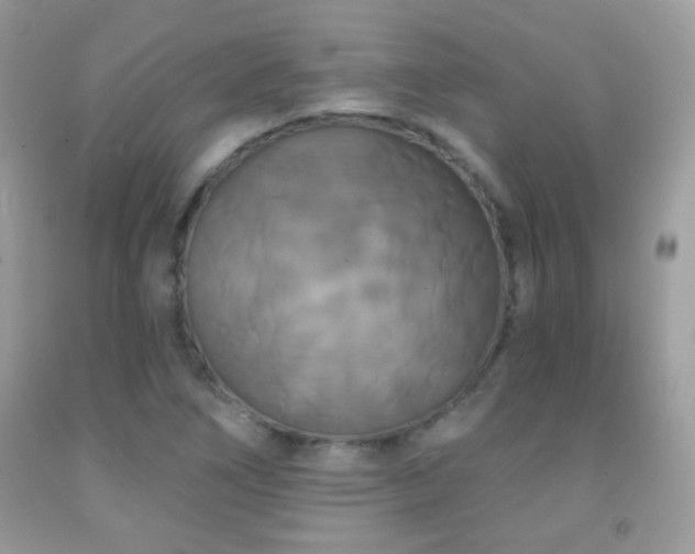 X0000092011266200709061525