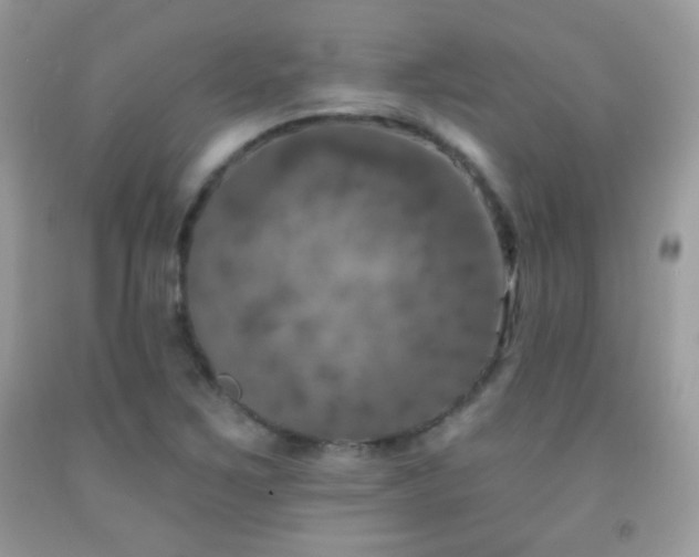 X0000092011267200709061525