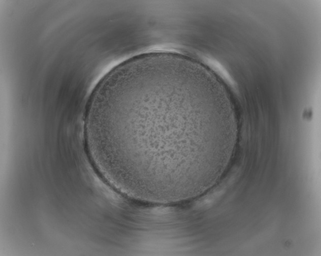 X0000092011268200709061525