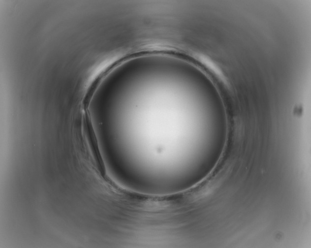 X0000092011269200709061525