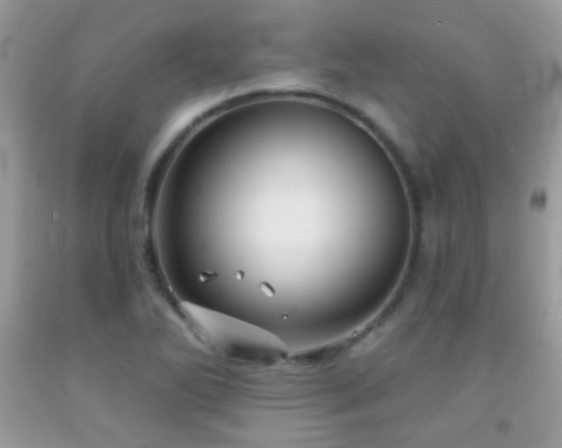 X0000092011270200709061525