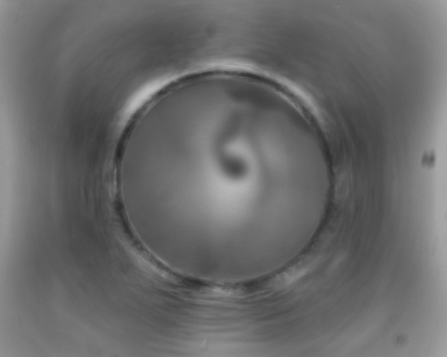 X0000092011271200709061525