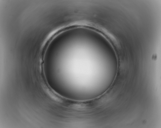 X0000092011272200709061525