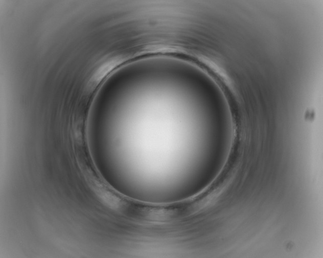 X0000092011273200709061525