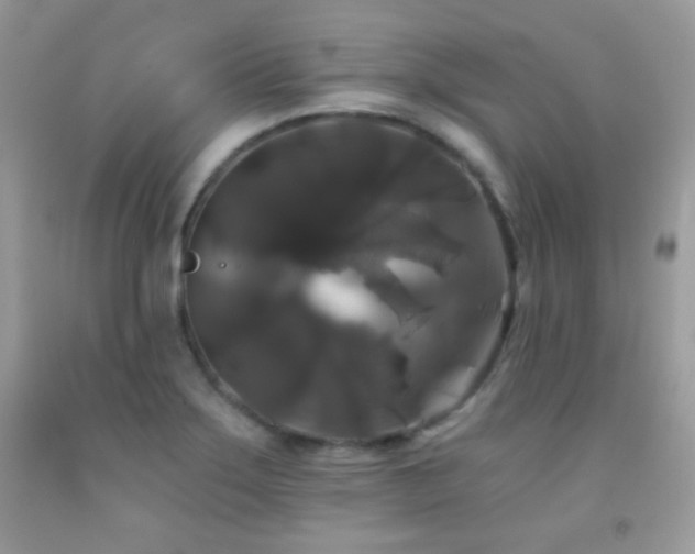 X0000092011275200709061525