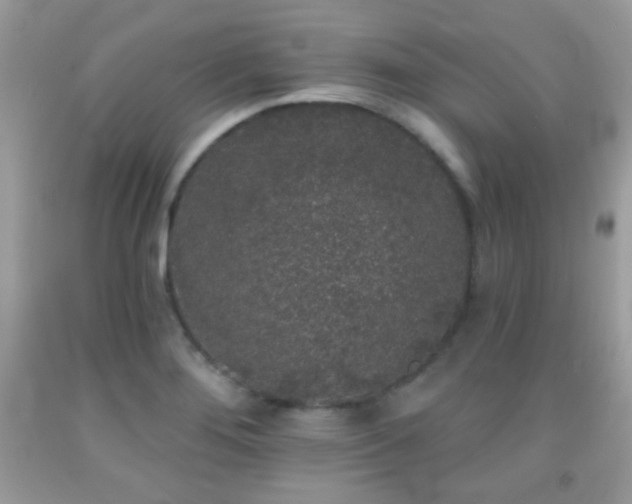 X0000092011276200709061525