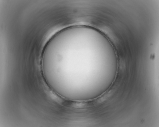 X0000092011278200709061525