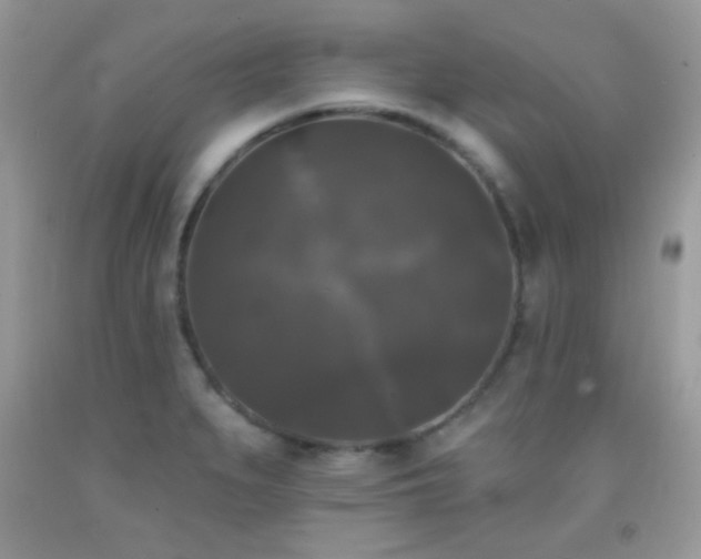 X0000092011279200709061525