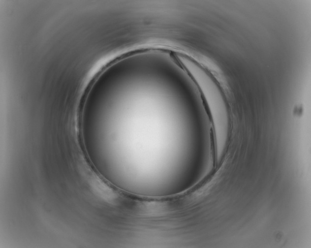 X0000092011280200709061525