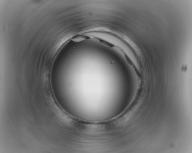 X0000092011281200709061525