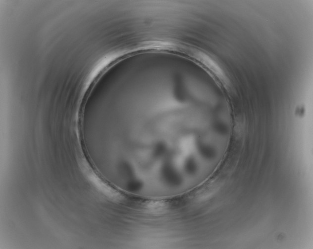 X0000092011283200709061525