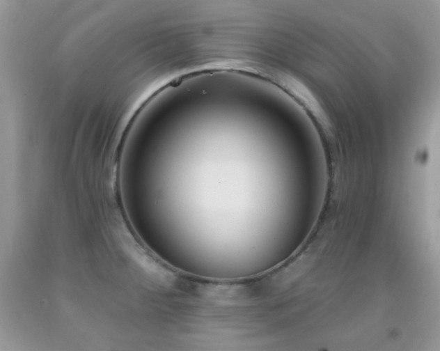 X0000092011284200709061525