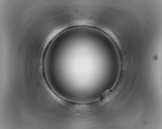 X0000092011285200709061525