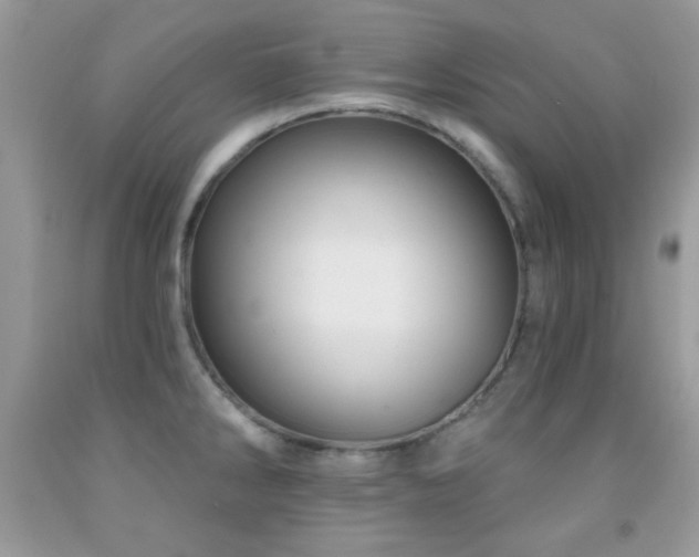 X0000092011286200709061525