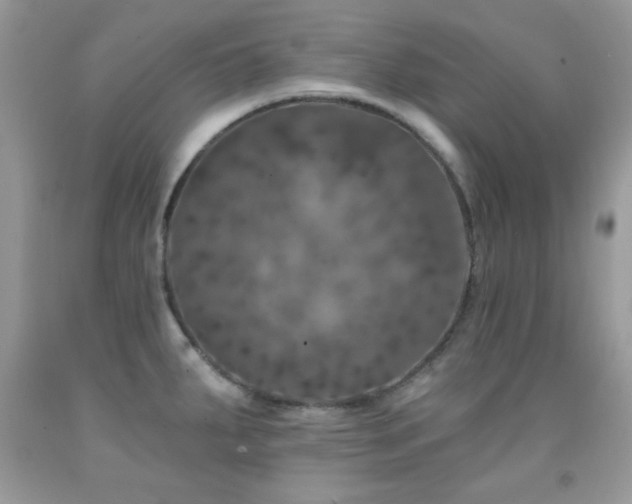 X0000092011287200709061525