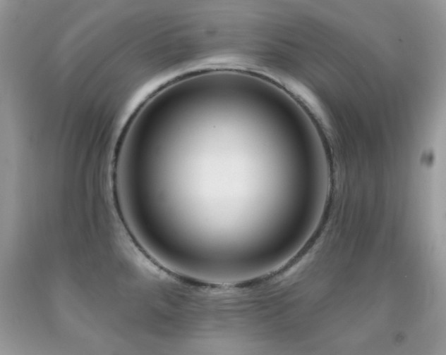 X0000092011288200709061525