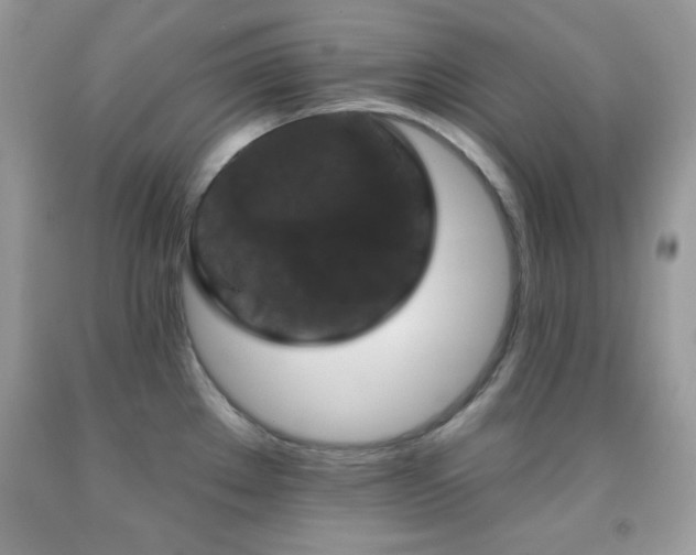 X0000092011289200709061525