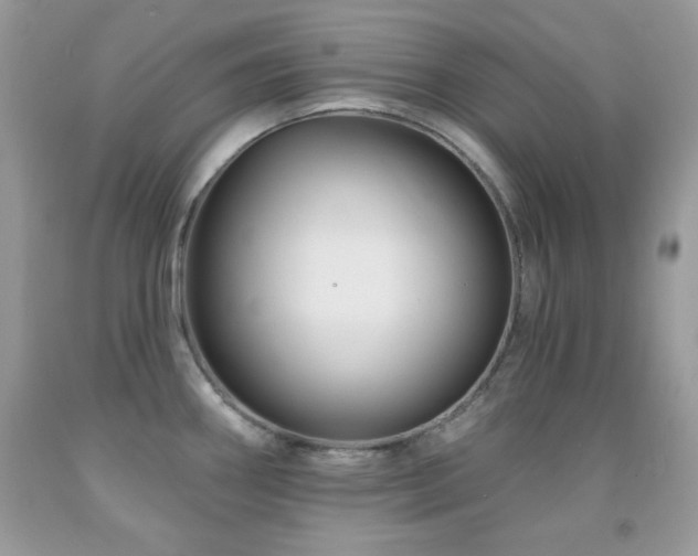 X0000092011290200709061525