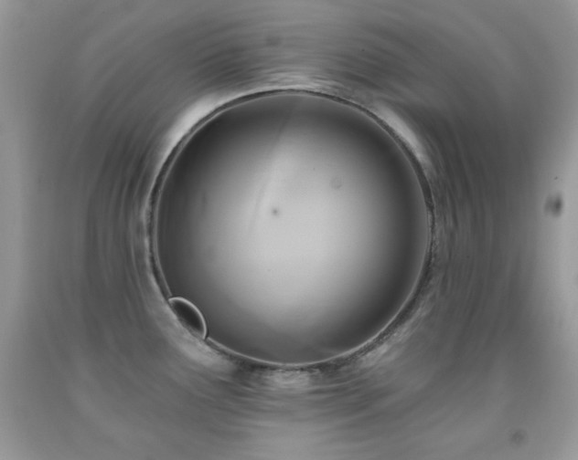 X0000092011291200709061525