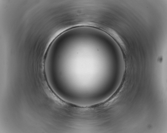 X0000092011292200709061525