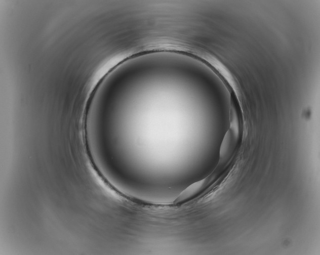 X0000092011293200709061525