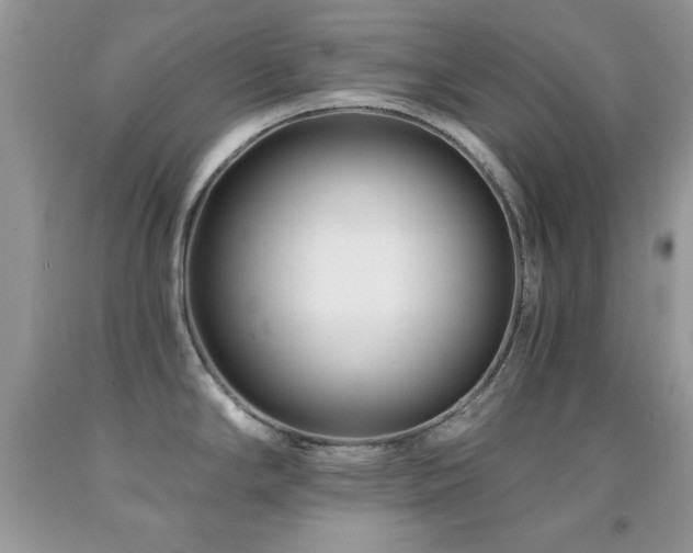 X0000092011294200709061525