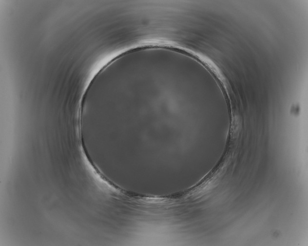 X0000092011295200709061525