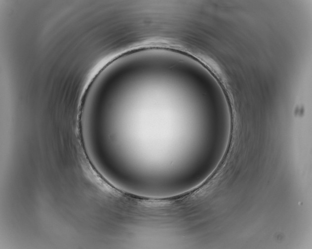 X0000092011296200709061525