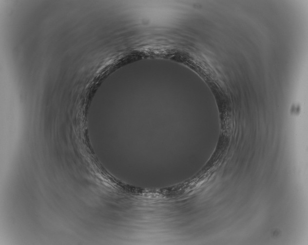X0000092011297200709061524