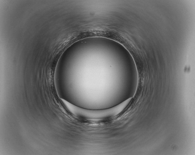 X0000092011298200709061524