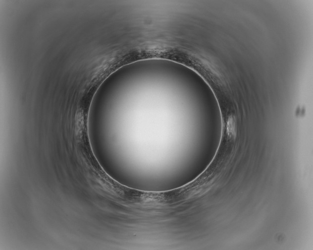 X0000092011299200709061524