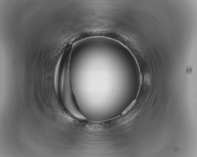 X0000092011300200709061524