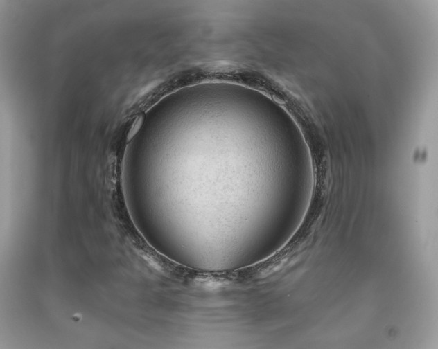 X0000092011301200709061524