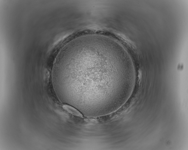 X0000092011302200709061524