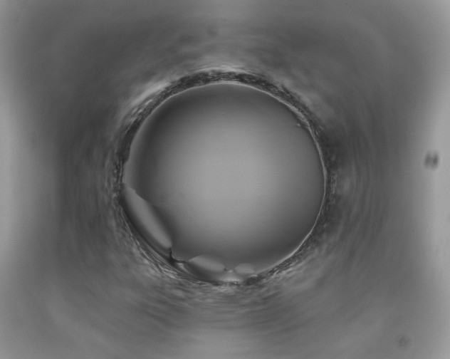 X0000092011303200709061524
