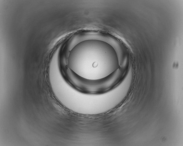 X0000092011304200709061524