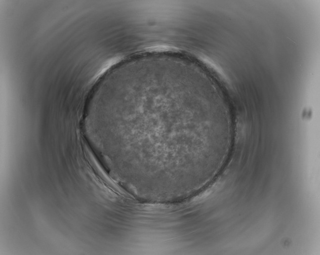 X0000092011305200709061524