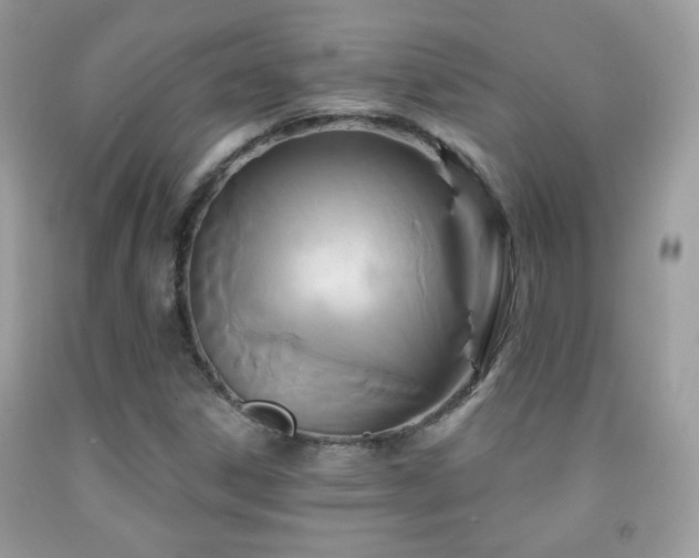 X0000092011306200709061524