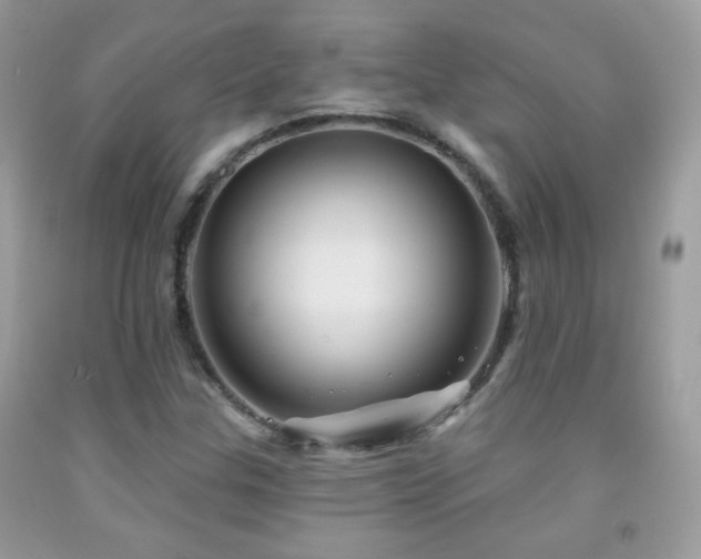 X0000092011307200709061524