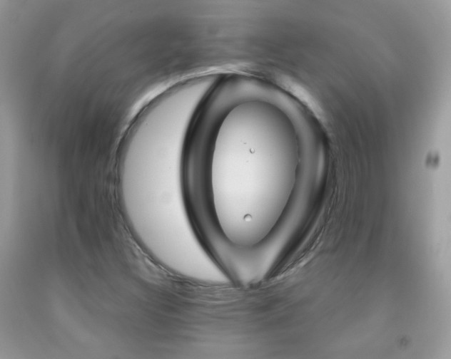 X0000092011308200709061524