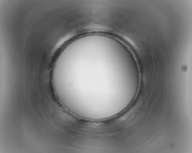 X0000092011309200709061524