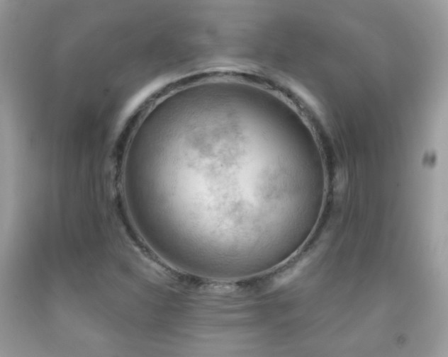 X0000092011310200709061524