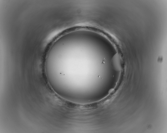 X0000092011311200709061524