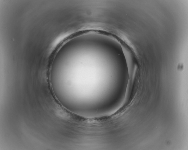X0000092011312200709061524