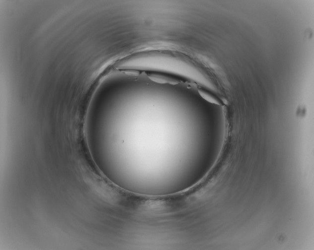 X0000092011313200709061524