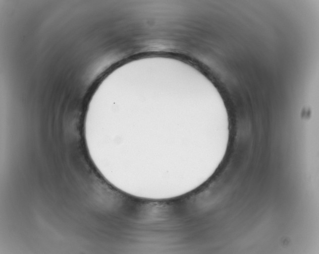 X0000092011314200709061524