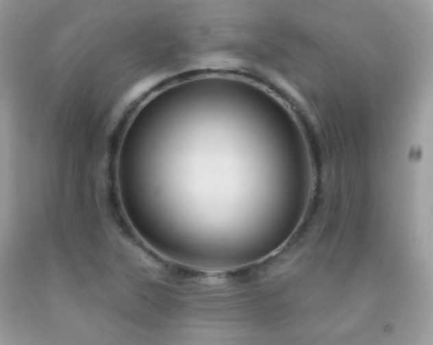 X0000092011315200709061524